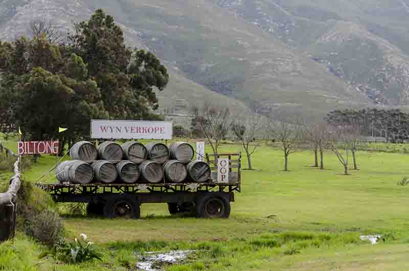 92 - Sudafrica - paisaje - toneles de vino